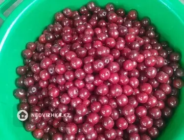 Участок 6.3 соток