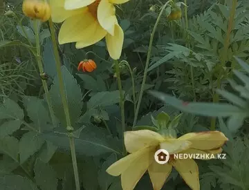 2-комнатный дом, 6 соток, 12 м²