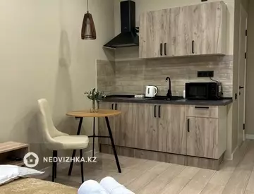 1-комнатная квартира, этаж 9 из 10, 27 м², Посуточно