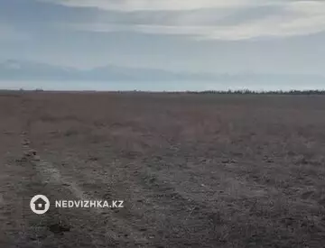 Участок 81.0 га