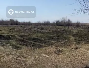 Участок 81.0 га