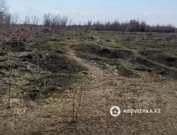 Участок 81.0 га