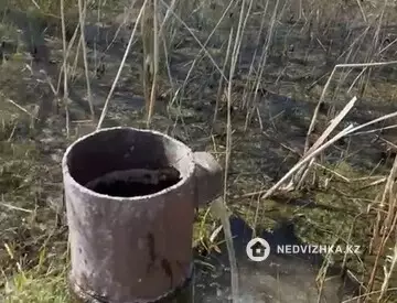 Участок 81.0 га