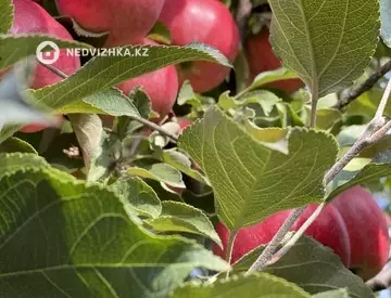 3-комнатный дом, 13 соток, 90 м²