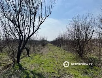 Участок 200.0 соток