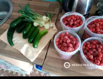 2-комнатный дом, 6.2 соток, 11 м²