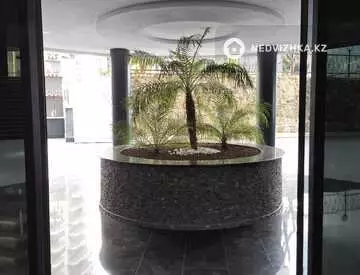 2-комнатная квартира, этаж 1 из 3, 55 м²