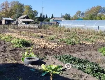 4-комнатный дом, 12 соток, 73 м²