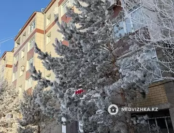 3-комнатная квартира, этаж 1 из 5, 62 м²