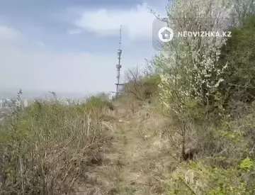 Участок 6.0 соток