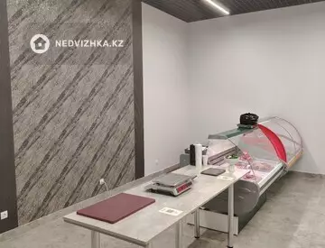 Помещение, этаж 1 из 9, 77 м², На длительный срок