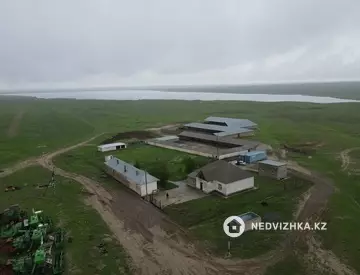 Участок 800.0 га