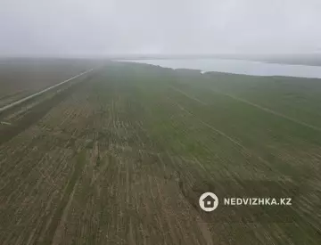 Участок 800.0 га