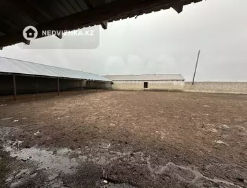 Участок 800.0 га