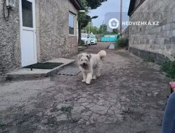 4-комнатный дом, 24 соток, 100 м²