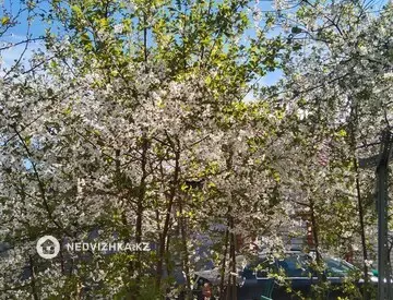 4-комнатная квартира, этаж 1 из 1, 150 м²