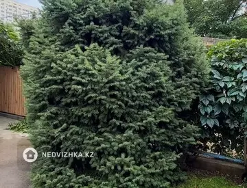 Участок 8.0 соток