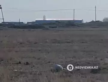 Участок 8.0 га