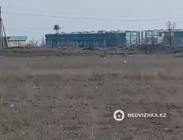 Участок 8.0 га