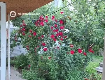 4-комнатный дом, 4 соток, 80 м²