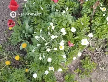 Участок 6.0 соток