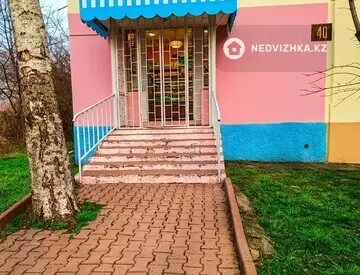 Помещение, этаж 1 из 4, 45 м²