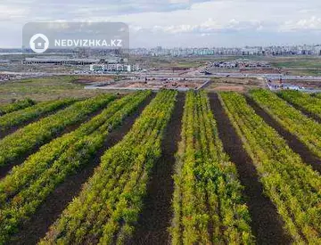 1-комнатная квартира, этаж 8 из 12, 37 м²