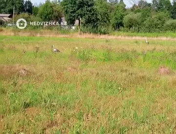 Участок 12.0 соток