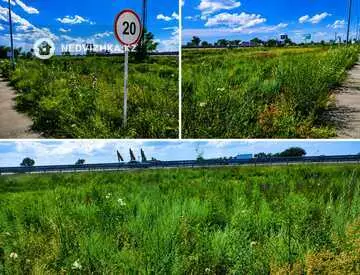 Участок 91.0 соток