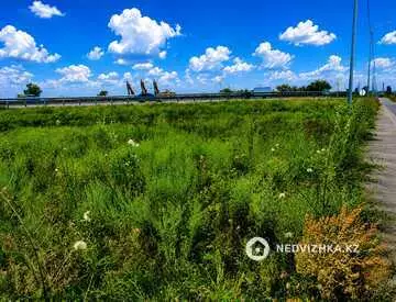 Участок 91.0 соток
