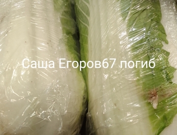 Фотография профиля