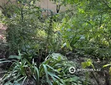 Участок 3.2 соток