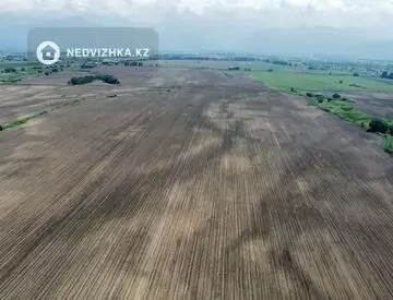 Участок 115.0 га