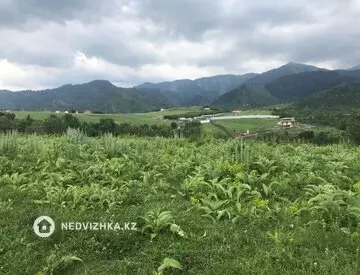 Участок 3.3 га