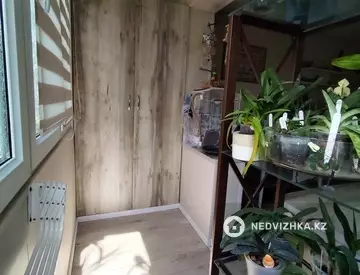 3-комнатная квартира, этаж 4 из 4, 58 м²