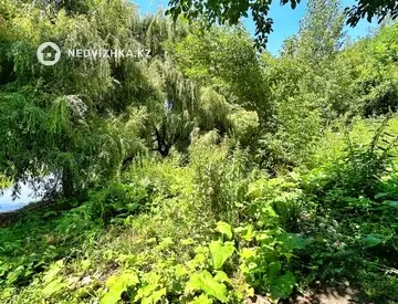 Участок 3.67 га