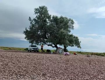 Асель