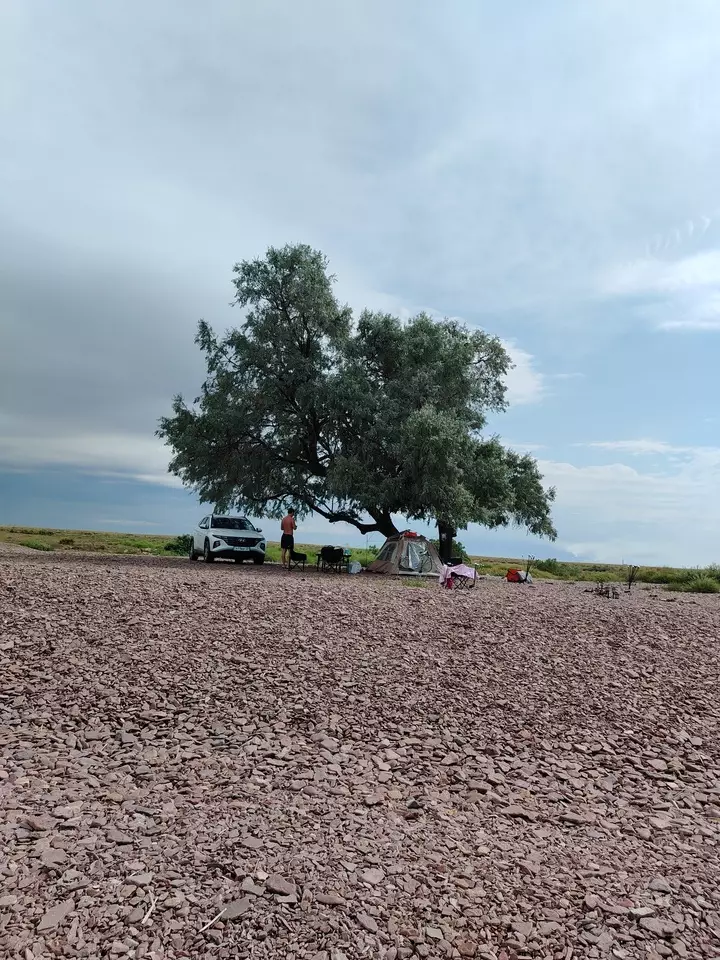 Асель