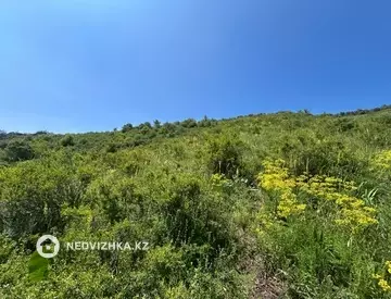 Участок 15.6 га