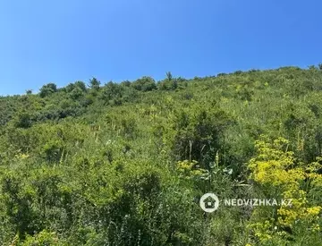 Участок 15.6 га