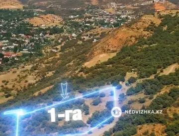 Участок 1.0 га