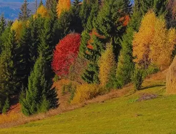 Каскелен